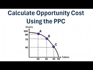 How to Calculate Opportunity Cost Using PPC