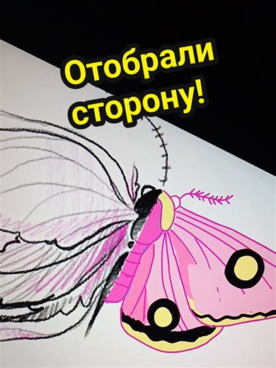 Приложение: artworkout #artworkout #art #ipadart #digitalart #speedpaint #arttutorial #foryou #тренд #челлендж