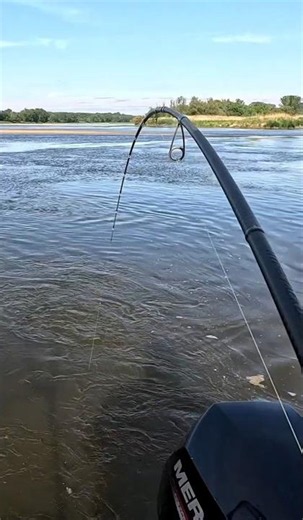 BOOM ‼️ The reel caught fire. Come fishing with me 576 407 266
