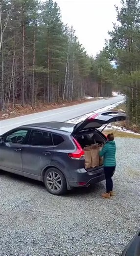 Exploring Wildlife Through Engaging Storytelling