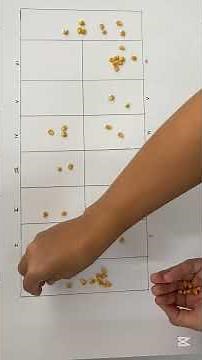 jogo mancala - tutorial