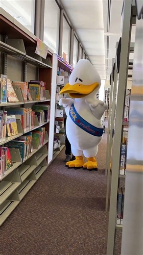 Click Clack Duck Visits Storytimes at OPL