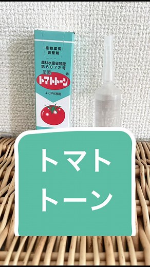 ミニトマト育て方とトマトトーンの使い方