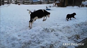 168K views · 13K reactions | Ellas gesundheitlicher Fortschritt...