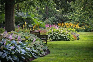 How to Care for Hostas So They'll Thrive in Your Yard
