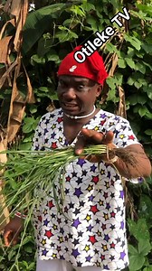 223K views · 5.2K reactions | Wonders of alligator pepper and stubborn grass part 2 | Otileke tv | Facebook