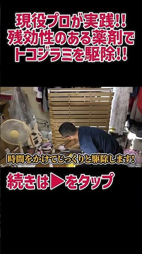 現役プロが実践！！残効性のある薬剤でトコジラミをじわじわと駆除！ #駆除ザウルス #トコジラミ