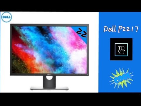Dell P2217