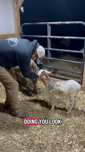Josh and Rocky 💙 | Clutch of Color LLC