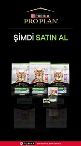128K views · 15 reactions | PRO PLAN Sterilised İle Kısırlaştırılmış Kedinizin Özel Beslenme İhtiyaçlarını Karşılayın! | Pro Plan Türkiye | Facebook