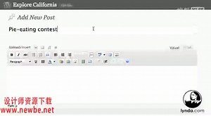 DreamweaverCS5和WordPress创建Blog教程 (1)