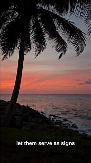 The Beginning of Creation – Genesis 1:14