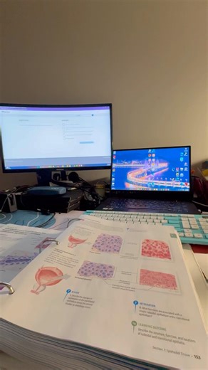 Quiet Study Session | Learning Epithelial Tissue with Classical Music 🎼