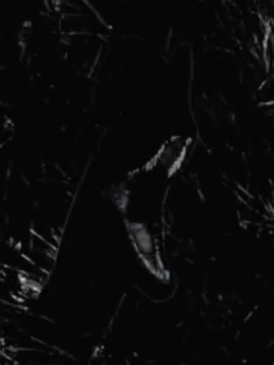 Prior Extinction is a dinosaur survival game. You will be taking charge of your very own realistic dinosaur surviving & fighting other dinosaurs for domination of a prehistoric land, housing animals of various time ages prior to becoming extinct. Roblox Link: https://www.roblox.com/games/6698800091/Prior-Extinction-Dinosaur-Survival Community Server : https://discord.gg/priorextinction #priorextinction #roblox #dinosaurgames #fyp #dinosaur