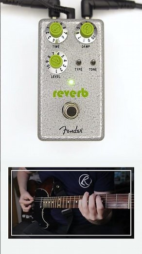 Fender - Hammertone Reverb #fender #fenderpedals #guitarist