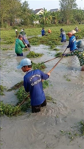 sáng tạo cách vận chuyển thuốc kiểu mới #shorts #shortvideo