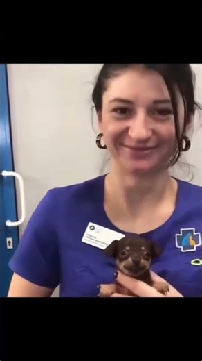 bro's pronouns are happy/puppy 😭 ... #funny #shorts #memes #viral #viralreels