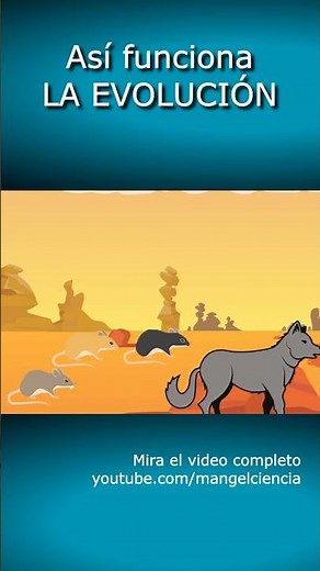 This is how EVOLUTION works🐒🧬#shorts #biology #science