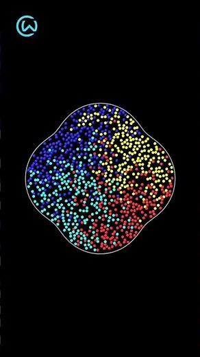 Diffusion of Particles