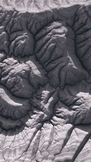 The Trouble With Trilobites and Why These Ancient Creatures Still Fascinate Us p1