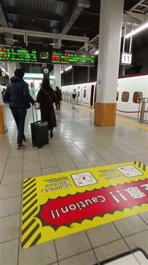 type 800 shinkansen #鉄道 #train #japanrailway #電車 #railway #shinkansen