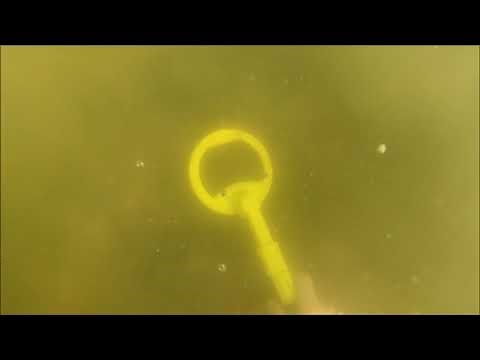 Unterwasser sondeln mit dem Nokta Makro PulseDive, Münzen und Schmuck mit dem Metalldetektor