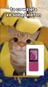 Typowa wycieczka #comedy #memes #trend #funny #fun #pug #pie #cat #funnyshorts #wybijsie #wyzwanie