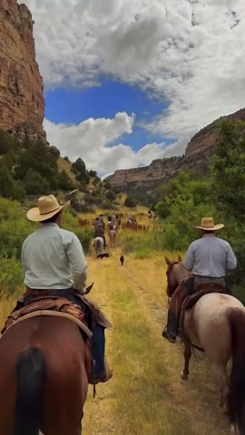 Exploring Wyoming mountains and wildlife
