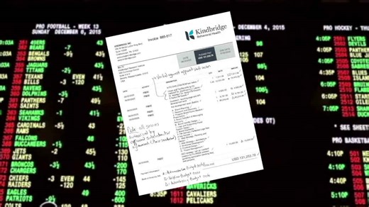Florida problem gambling hotline funds flow to a for-profit company
