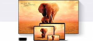 How to follow our favorite series and movies from our smartphone