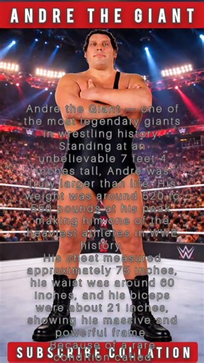 Andre The Giant Body measurements short