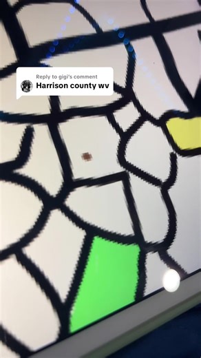 Procreate County Map on TikTok