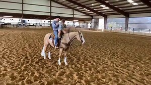 Swayzi Jane’s favorite palomino sells tomorrow, Friday, March 11th at The Horse Sale at Rancho Rio! She has him tuned up and ready to go! 🤩 https://www.ranchorioaz.com/horse-for-sale/232/brand-new-step.html Trevor Brazile - The Official Fan Page | Miles Baker | Shada Norris Brazile | Relentless Nation | #relentlessremuda | Relentless Remuda