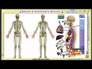 A Gentle Chiropractic Approach
