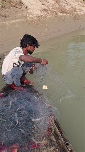 Fish hunting 2 on Instagram: "इस नदी में जाल को लगाकर हमने किया बहुत सारी बाम मछलियों का शिकार #fishhunting2 #machlipakadna #Netfishing #Virelvideo"