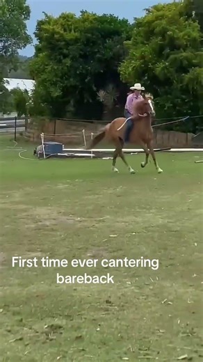 My first ever time cantering backback and I was sceard, it was fun and also hurt😂😂 #alanjackson
