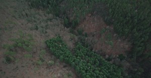 Video by Julien Goettelmann on Pexels