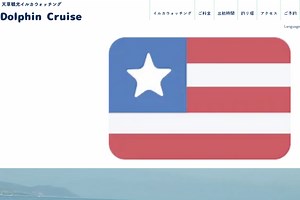イルカウォッチング│【公式】天草観光イルカウォッチング｜ドルフィンクルーズ