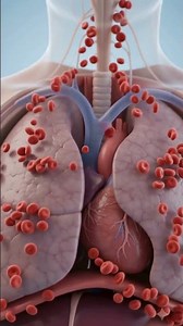 Why Do We Breathe? The Science Will Blow Your Mind
