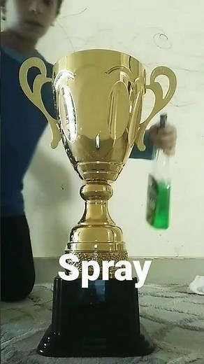 easy to clean trophies