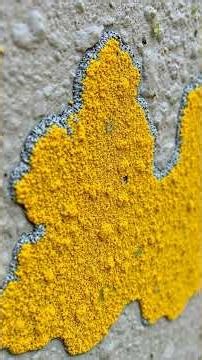 ทำไมสถานที่รุนแรงถึงมีเรื่องผี? Why 'Hauntings' Happen in Violent Places