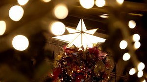 178K views · 1.2K reactions | [Hong Kong WinterFest 2021 — shopping mall festivities] Christmas celebration is blooming in Hong Kong as the city's shopping malls have put up twinkling lights, enchanting decorations and festive ornaments for the holiday season — check out how local couples and families enjoy themselves! Discover more: bit.ly/3IfgaQw | Discover Hong Kong | Facebook