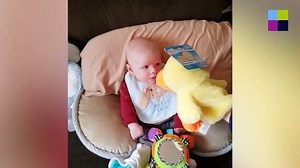 9M views · 333K reactions | So cute  | Lifestyle | Facebook