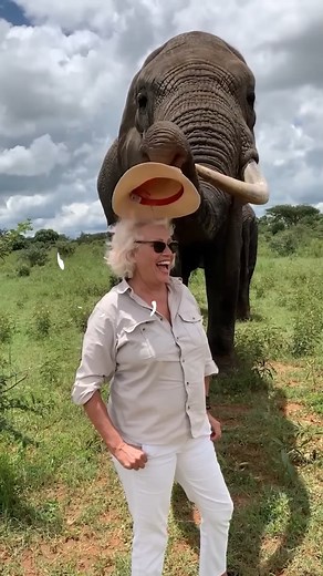 470K views · 13K reactions | Adorable Elephant Pranks Human! #elephants #wildlife #elephantlove #reelsviralシ | I love Elephants | Facebook