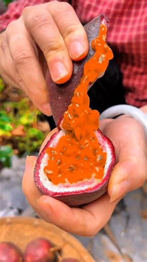 3.5K views · 37 reactions | The incredible nutritional value of the famous passion fruit. বিখ্যাত প্যাশন ফলের অবিশ্বাস্য পুষ্টিগুণ। #incredible #nutritional #value #famous #passion #fruit #Bangladesh #kolkata #Amazing #Wow #fbpost #viral #trendingpost #trendingreel #fruits #health #popular #highlights | Sheikh Jalal | Facebook