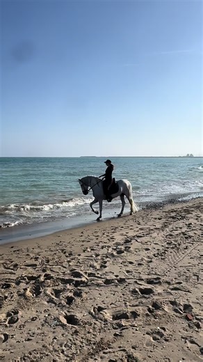 Spanish Horse Riding by the Sea