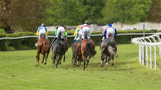 Pronostics  Gratuits R1C2 Prix RMC - Prix La Flèche