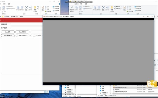 VNREXV1.8已支持Unity(Mono、IL2CPP后端)游戏文本提取。