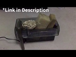 AquaClear 110 Review & Setup