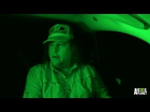 We're Not the Only Ones Here | Finding Bigfoot
